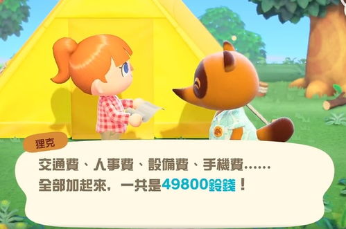 动物逻辑游戏,破解动物世界的智慧之谜