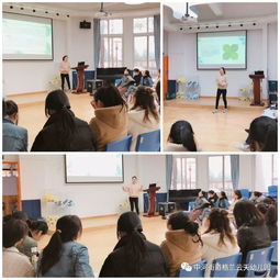 数学游戏户外,数学游戏中的智慧之旅