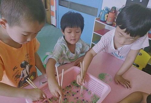 小兔子找家游戏,一场寻找家的温馨游戏之旅