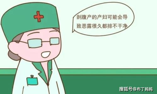 天线宝宝的午夜后宫 