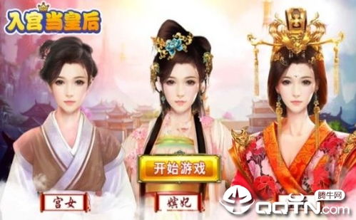 入宫当皇后的游戏,从平民女子到母仪天下的逆袭之路